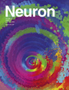NEURON期刊全稱