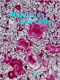 MOLECULES AND CELLS