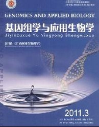 MW(xu)c(yng)W(xu)