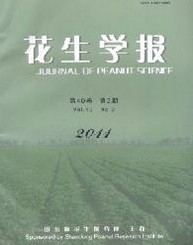 W(xu)(bo)