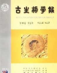 W(xu)(bo)
