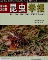 x(chng)W(xu)(bo)