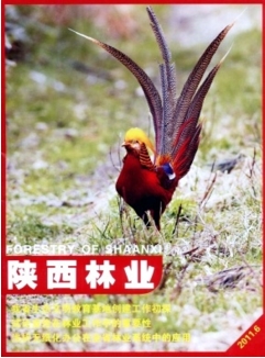 陜西林業(yè)