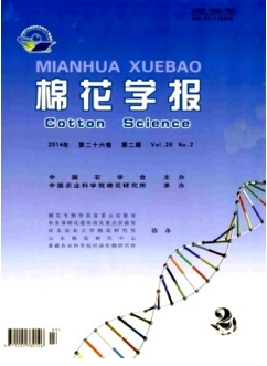 ޻W(xu)(bo)