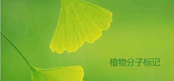 植物分子標(biāo)記的SCI期刊有哪些