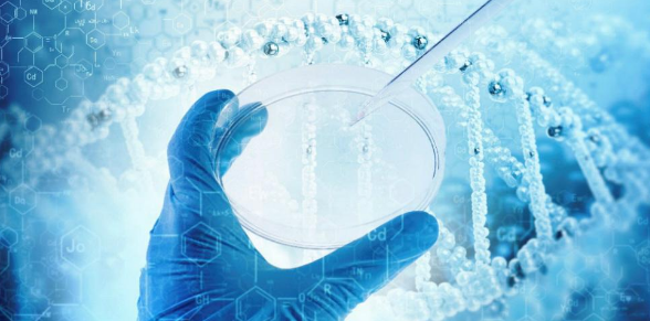生物論文發(fā)表的期刊有哪些
