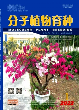 分子植物育種是核心期刊嗎