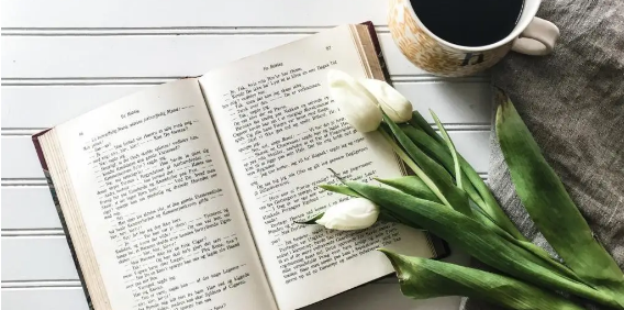 論文評(píng)審部分審回是什么意思