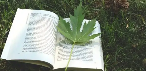 綜述論文的研究方法有哪些