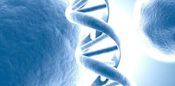 生命科學sci期刊影響因子排名