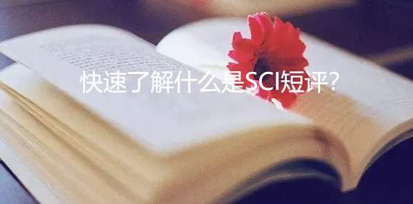 ˽ʲôSCIu