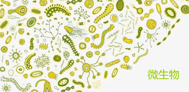 微生物sci好發(fā)的期刊