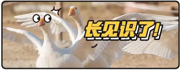 īI(xin)еĸʲô