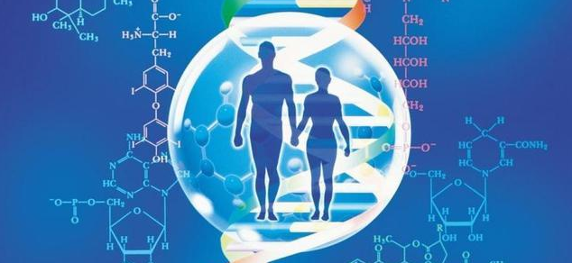 生物醫(yī)學工程sci期刊排名