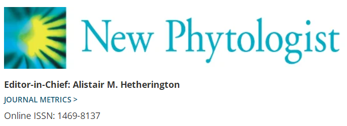 ֲW(xu)ڿNew PhytologistӰӶ