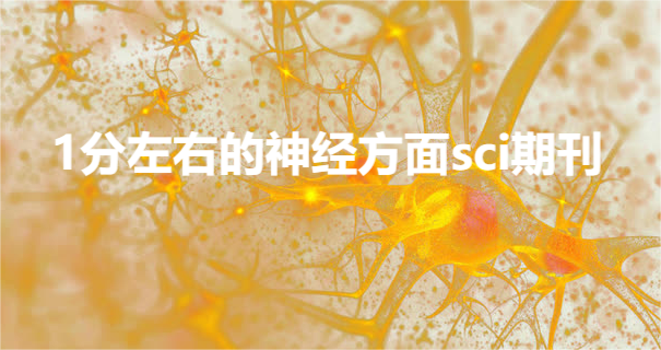 1分左右的神經(jīng)方面sci期刊