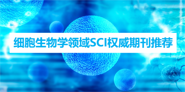WI(lng)SCI(qun)ڿ]