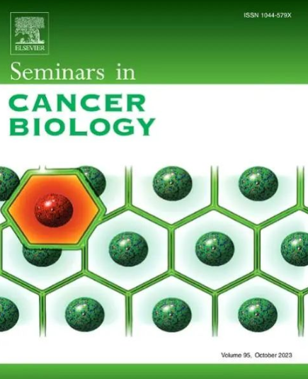 Seminars in Cancer Biology