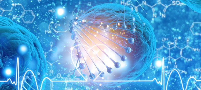 1分左右發(fā)表快的生物sci期刊