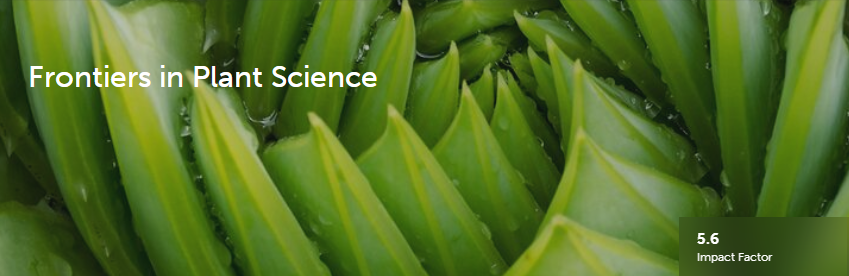 frontiers in plant science平均審稿速度