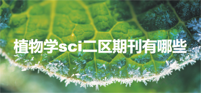 ֲW(xu)sci^(q)ڿЩ