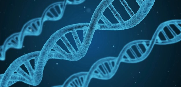 5分左右的生物綜合性sci期刊