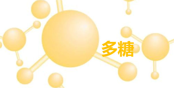 與多糖相關(guān)的sci期刊有哪些