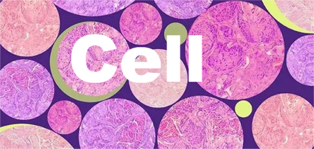 cellµ10(yu)ӿ]