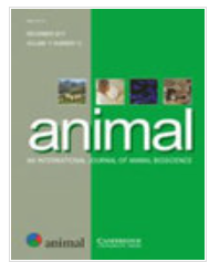 Animal期刊