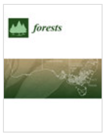 forestsڿ