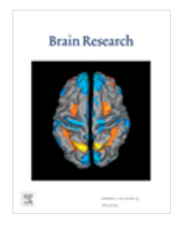 BRAIN RESEARCH