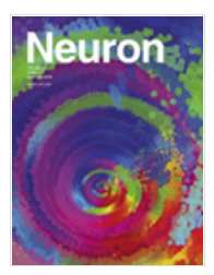 Neuron