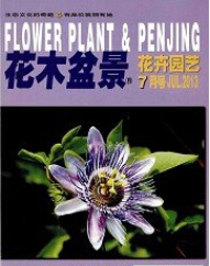 《花木盆景》園藝師職稱論文發(fā)表