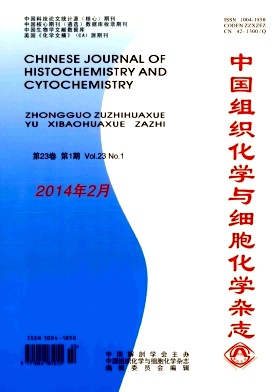 《中國組織化學(xué)與細胞化學(xué)雜志》論文發(fā)表