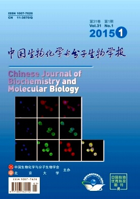 《中國生物化學(xué)與分子生物學(xué)報》核心科技論文