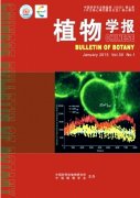 sci流程是怎樣的