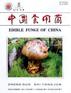 中國食用菌雜志