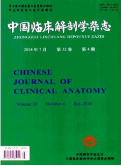 中國臨床解剖學