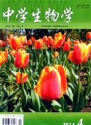 中學(xué)圖書館如何建設(shè)