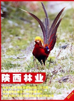 陜西林業(yè)