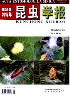 xW(xu)(bo)