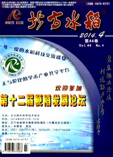北方水稻