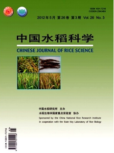 中國水稻科學