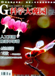 科學(xué)大觀園