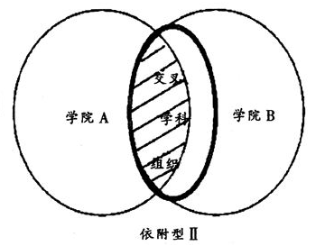 交叉學科