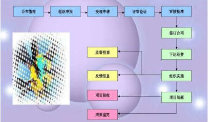 課題研究進(jìn)展