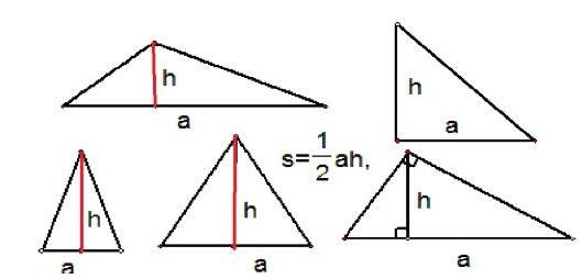    e ʽ