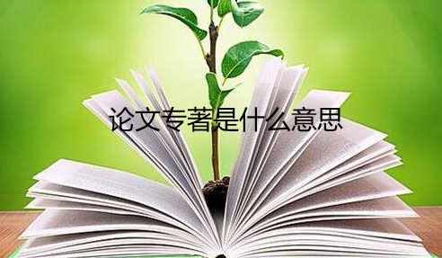 論文專著是什么意思