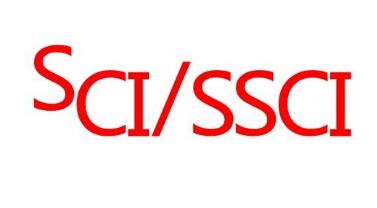 SSCIcSCIʲô^(q)e