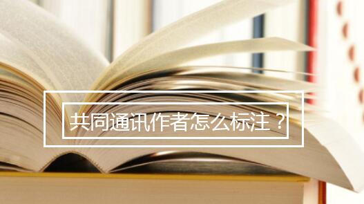 共同通訊作者怎么標(biāo)注